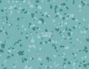 Линолеум Taralay Premium Brazilia 4477 Maceio фото 1 | FLOORDEALER